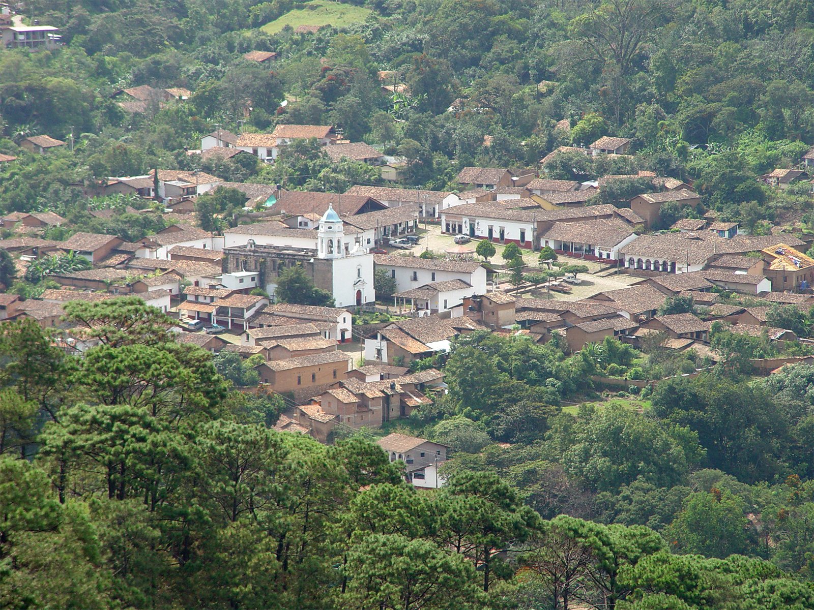 Vista desde lo alto de San Sebastián del Oeste, con la torre blanca del templo y casas de techo de teja rodeadas de bosque