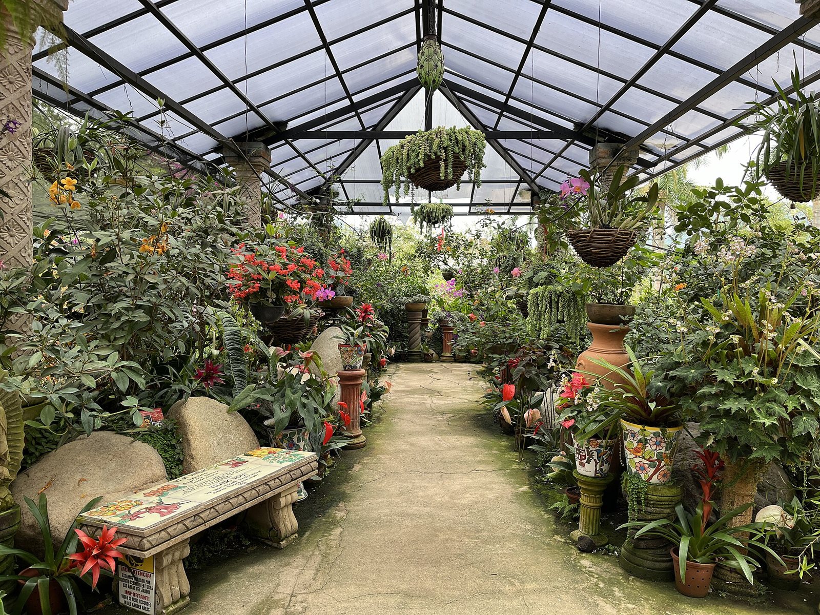 Pasillo dentro de un invernadero con orquídeas, bromelias, macetas colgantes y una banca de cerámica pintada