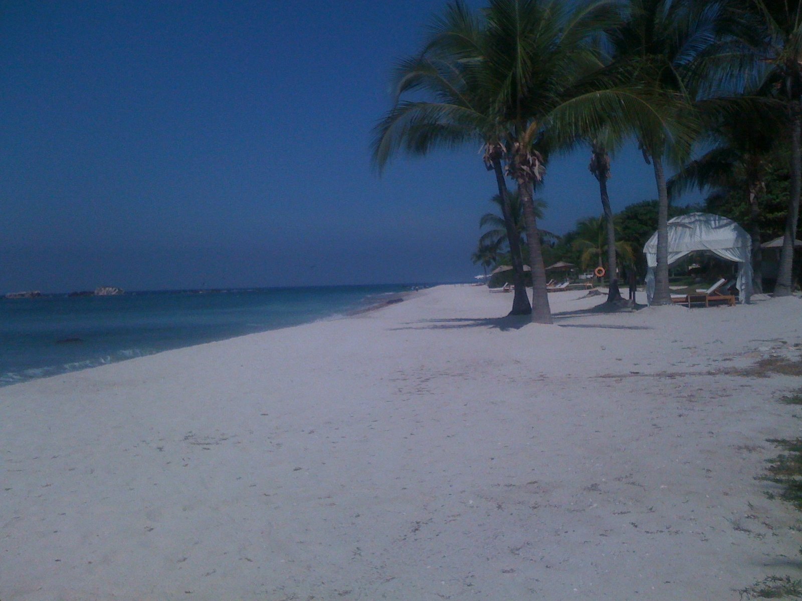 Playa de arena blanca con palmeras, camastros y una cabaña de tela blanca junto al mar en Punta Mita