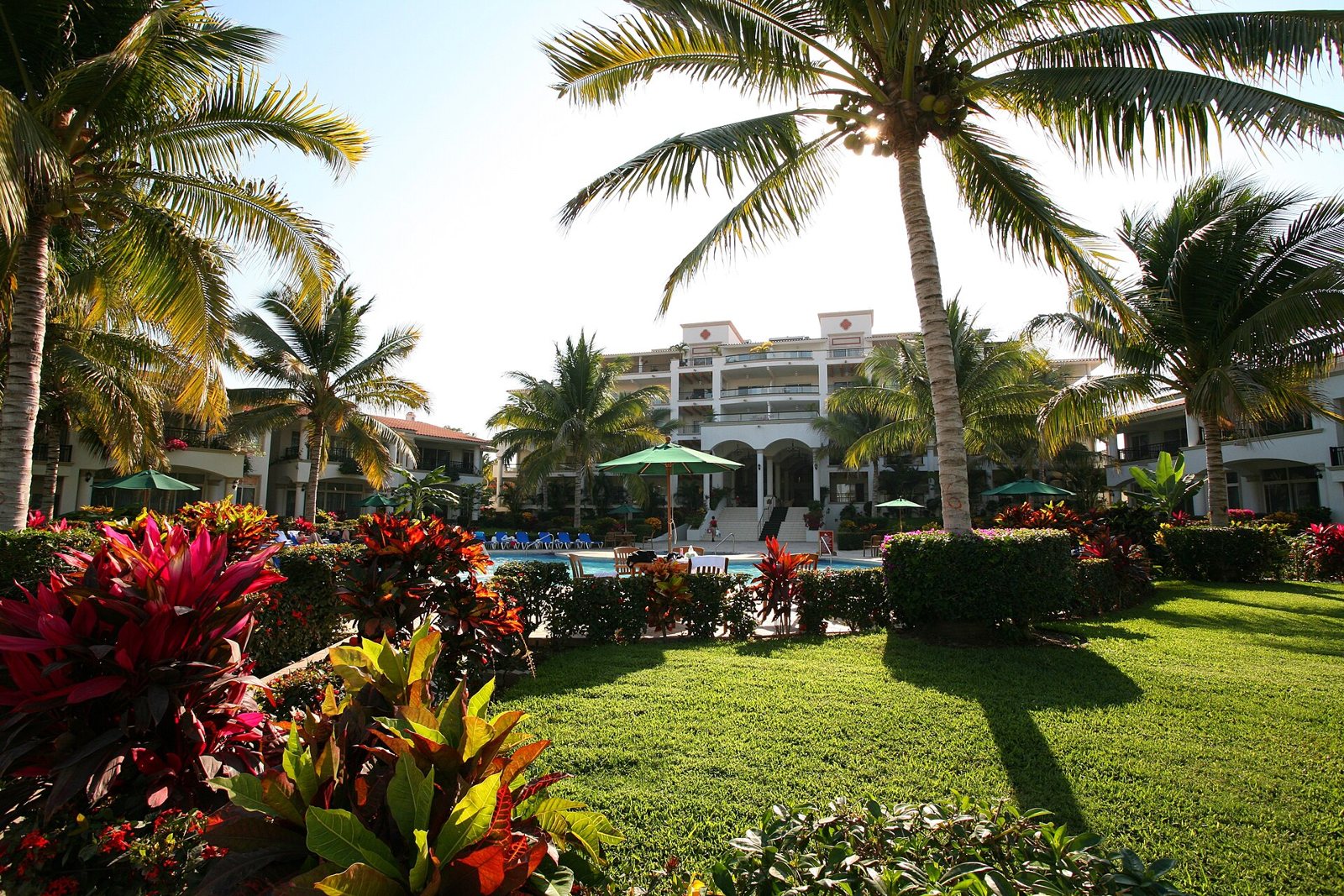 Jardines con palmeras y plantas tropicales de colores frente a la alberca y el edificio blanco de un resort en Nuevo Vallarta
