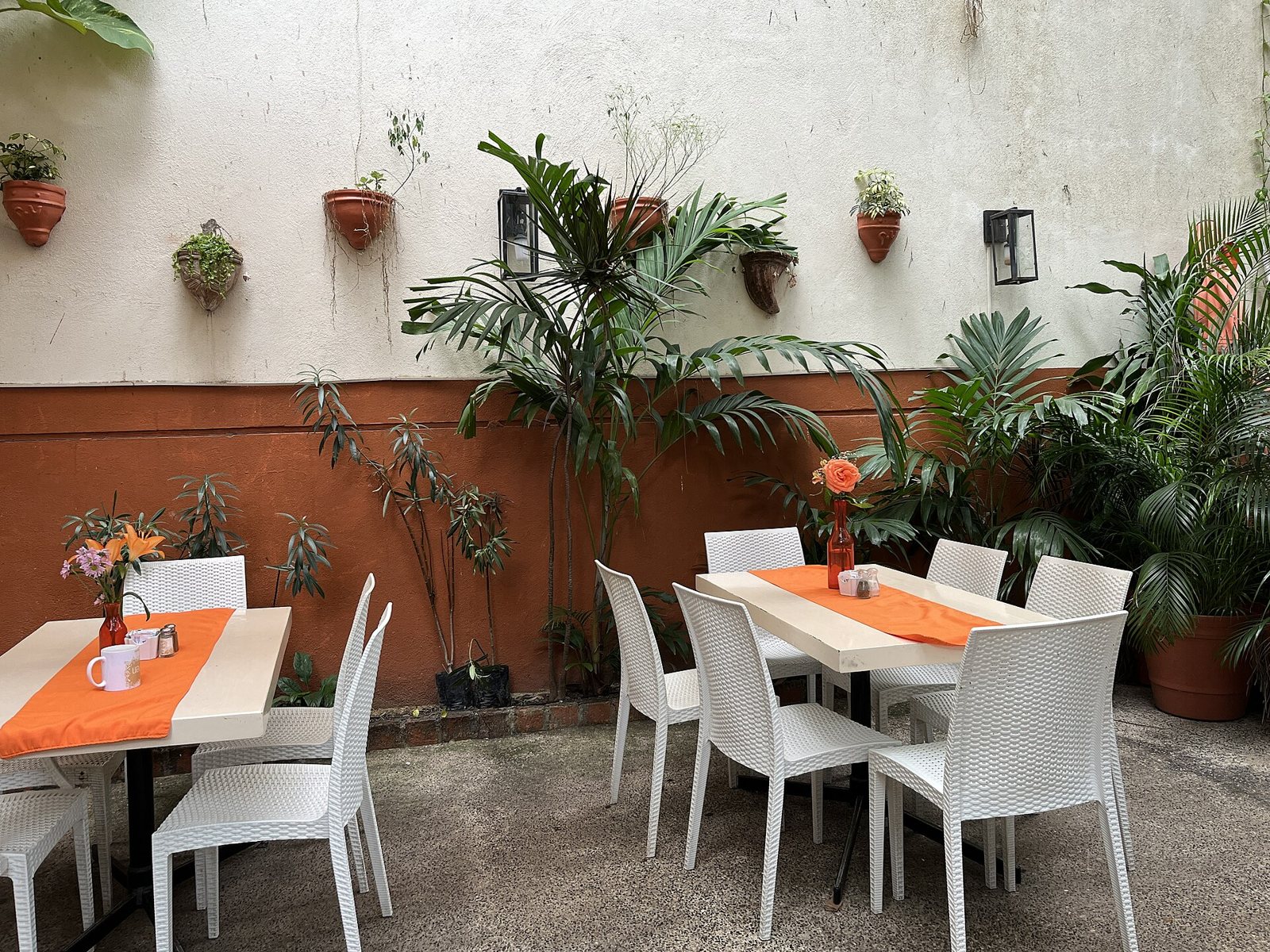 Patio de Coco's Kitchen con mesas de caminos naranjas, sillas blancas, flores en floreros y muchas plantas sobre un muro blanco y terracota