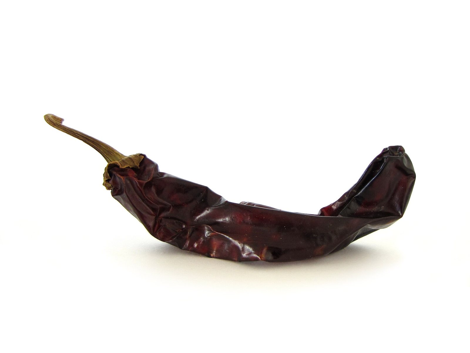 Un chile guajillo seco de color rojo oscuro sobre fondo blanco