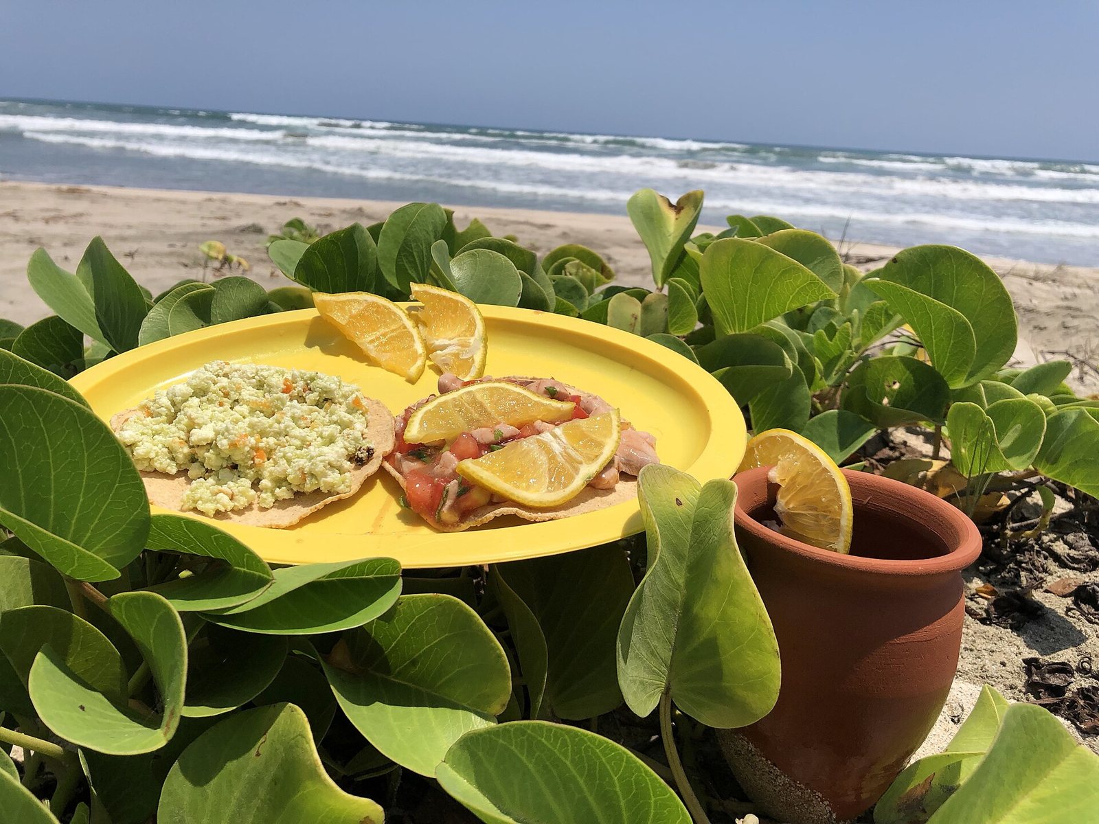 Plato amarillo con una tostada de ceviche de pescado y una tostada de requesón con rodajas de limón, sobre plantas de playa con el mar al fondo