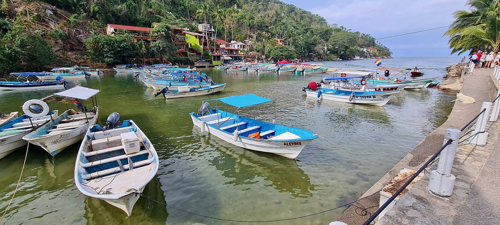 Pangas blancas y azules amarradas en la desembocadura del río en Boca de Tomatlán, junto a un andador con barandal